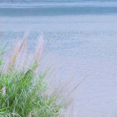 聚焦防汛抗旱丨我国第二大淡水湖洞庭湖迎来今年第1号洪水
